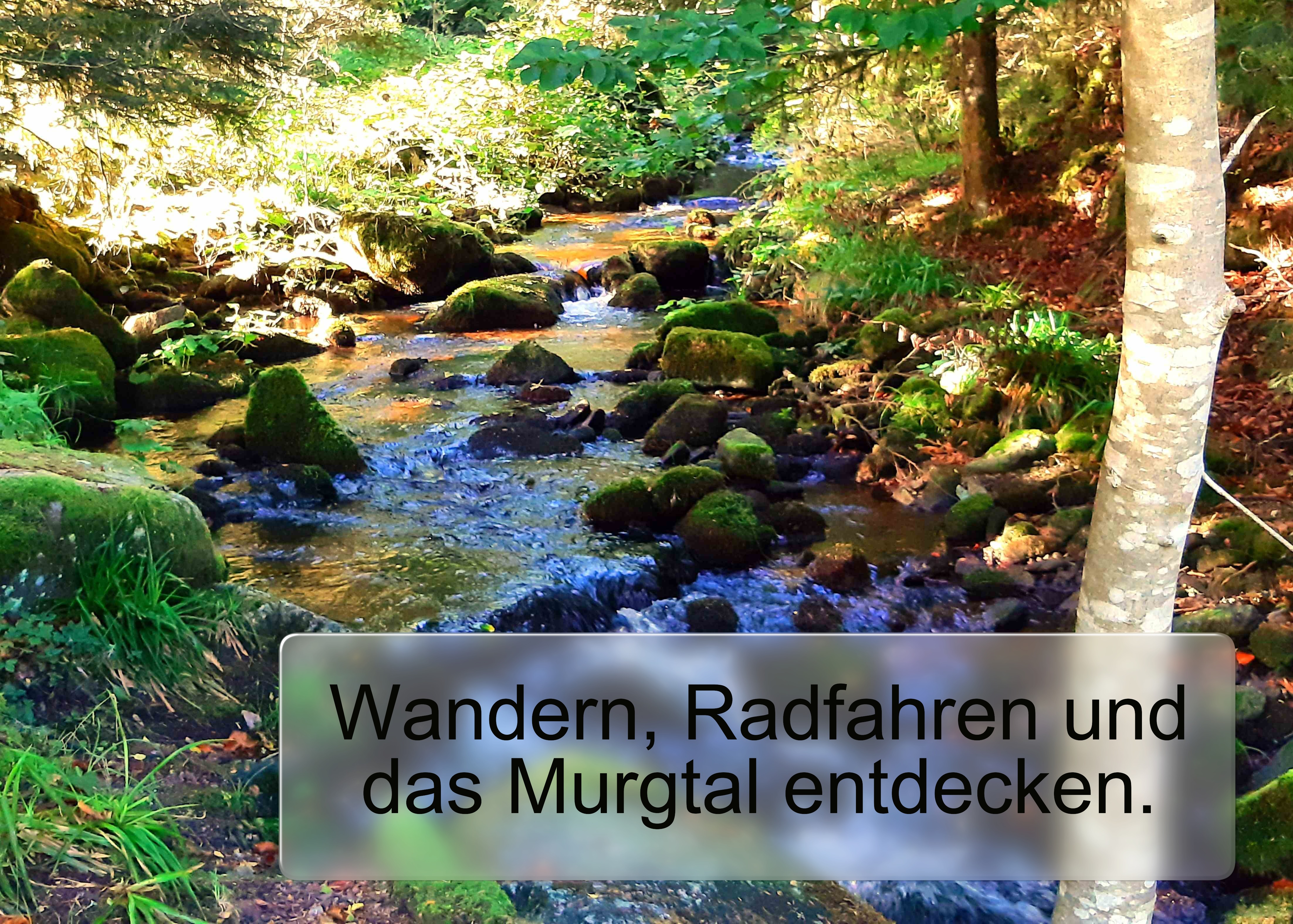 Impressionen aus dem Murgtal